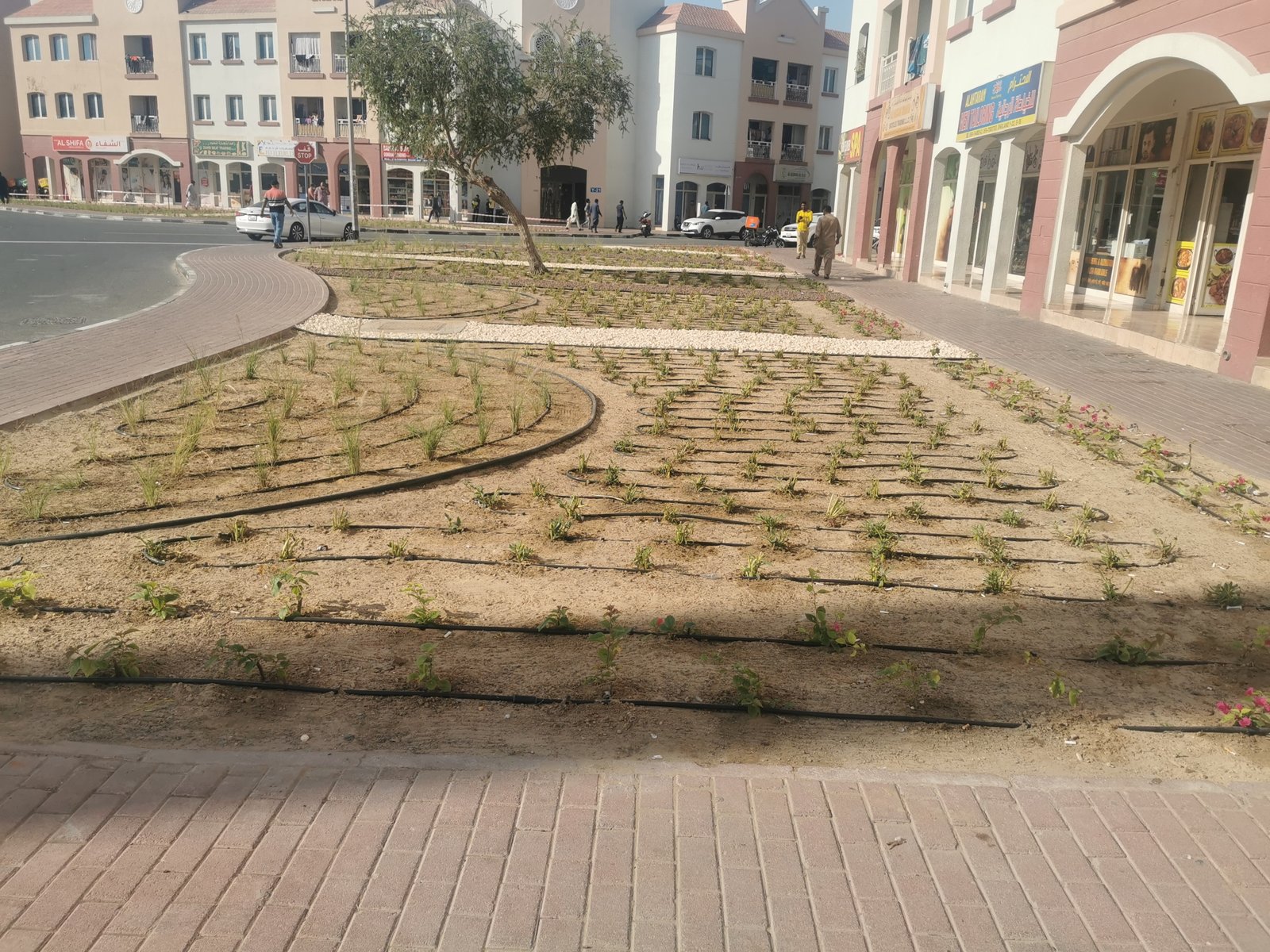 Streetscape